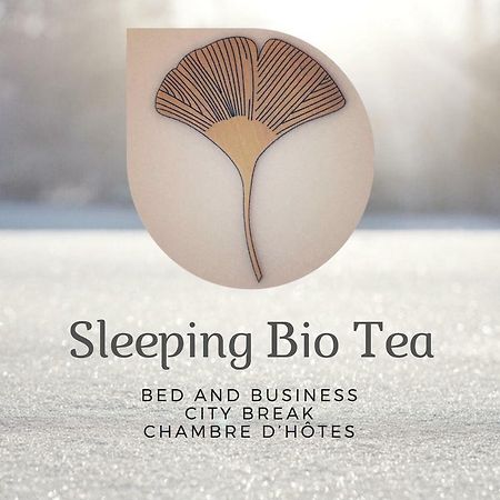 Sleeping Bio Tea Bed & Breakfast Thionville Exterior photo