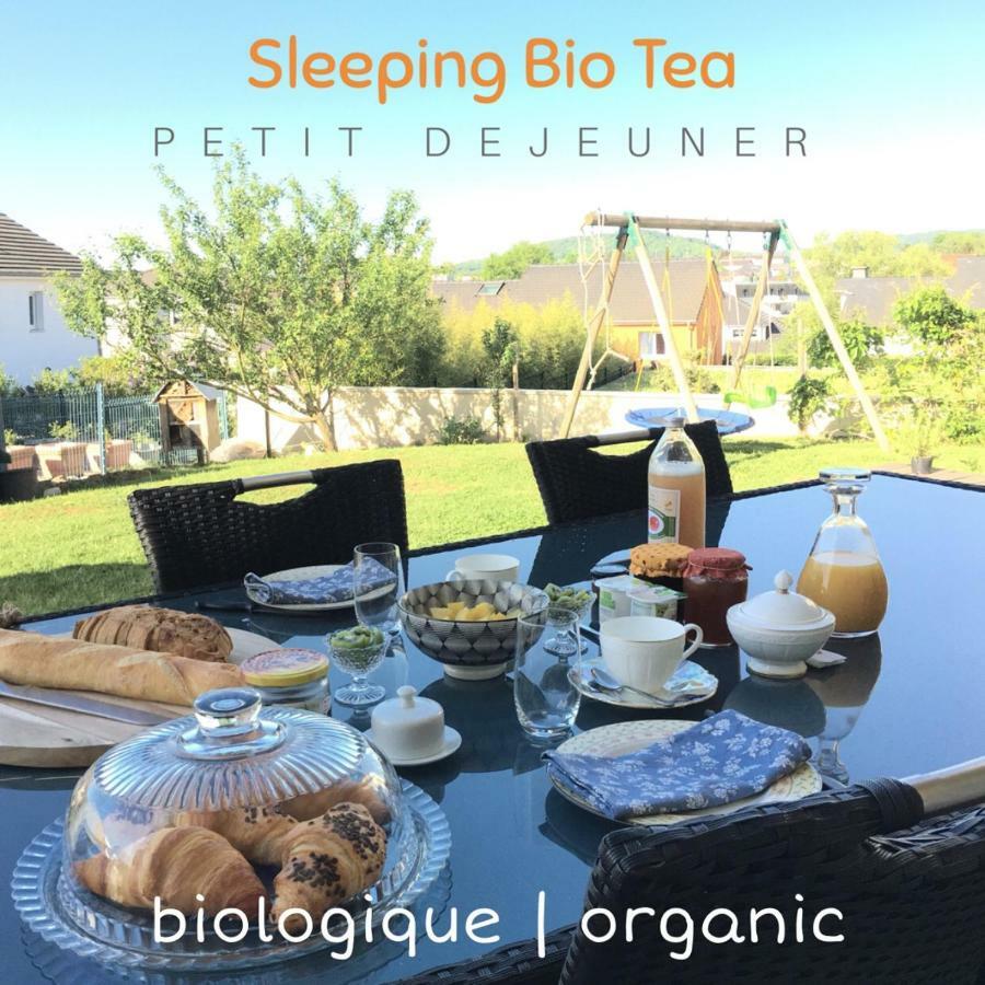 Sleeping Bio Tea Bed & Breakfast Thionville Exterior photo